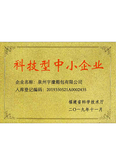 科技型中小企業(yè)